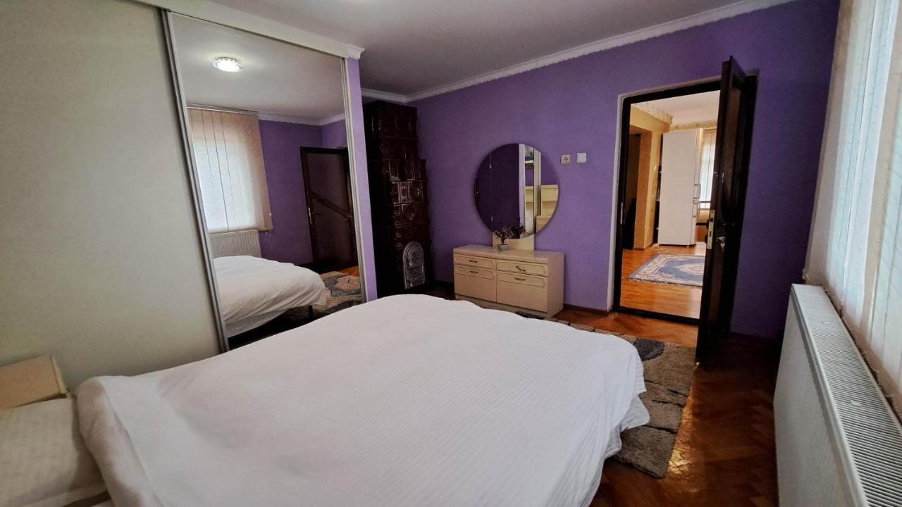 Pensiunea Burciu Salcioara  Extérieur photo