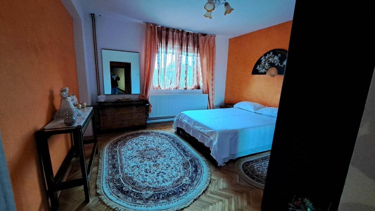 Pensiunea Burciu Salcioara  Extérieur photo