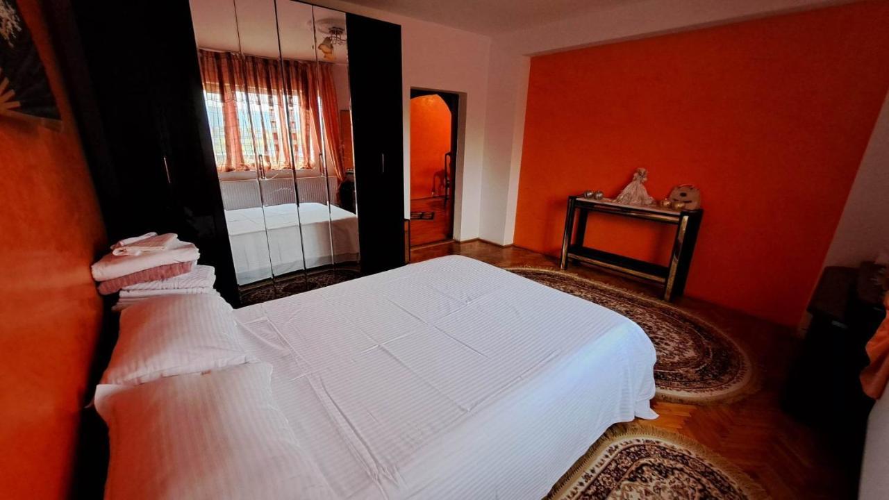 Pensiunea Burciu Salcioara  Extérieur photo