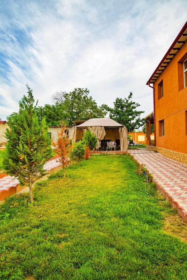 Pensiunea Burciu Salcioara  Extérieur photo